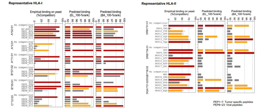 图4: 对肿瘤特异性肽(PEP1~7)和病毒肽(PEP8~23)的分析显示,平台结果与实验验证的一致性远高于 NetMHCpan4.1/NetMHCIIpan4.3 的预测结果;